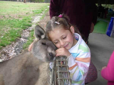 Gumbuya Park - Accommodation Resorts 3