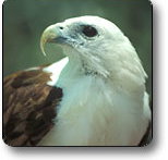 Kakadu National Park - Accommodation Resorts