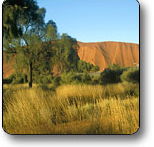 Uluru - Kata Tjuta National Park - Accommodation Resorts