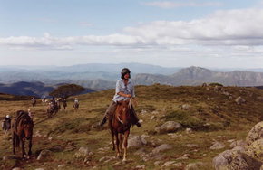 High Country Horses - Accommodation Resorts 0