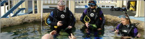 Scuba World - Accommodation Resorts 2
