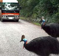 Kookaburra Tours - Accommodation Resorts