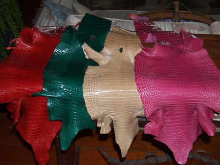 Koorana Saltwater Crocodile Farm - Accommodation Resorts 2