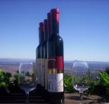 Mount Tamborine Winery  Homestead - Accommodation Resorts