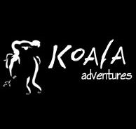 Koala Adventures - Accommodation Resorts