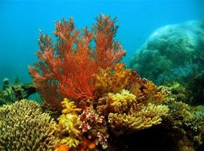 North West Cape WA Accommodation Resorts