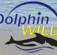 Dolphin Wild - Accommodation Resorts