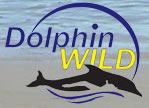 Dolphin Wild - Accommodation Resorts 0