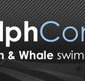 Dolphcom - Dolphin  Whale Swimming Adventures - Accommodation Resorts