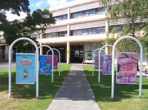 Cadbury Chocolate Factory Tour - Accommodation Resorts 2