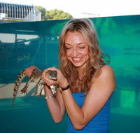 Crocosaurus Cove - Accommodation Resorts