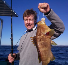 Downunder Charters - Accommodation Resorts 0