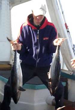 Downunder Charters - Accommodation Resorts 2