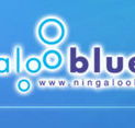 Ningaloo Blue Dive - Accommodation Resorts