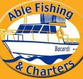 Able Fishing Charters - Accommodation Resorts