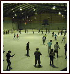 Bendigo Ice Stadium - Accommodation Resorts 1