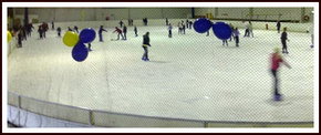 Bendigo Ice Stadium - Accommodation Resorts 2
