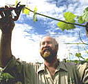 Barossa Experience Tours - Accommodation Resorts