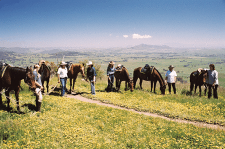 Watsons Trail Rides - Accommodation Resorts 1