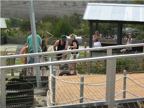  Accommodation Resorts