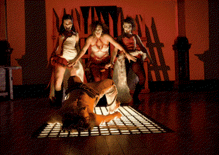 Zen Zen Zo Physical Theatre - Accommodation Resorts 1