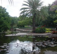 Brisbane City Botanic Gardens - Accommodation Resorts
