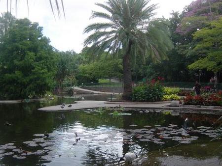 Brisbane City Botanic Gardens - Accommodation Resorts 0