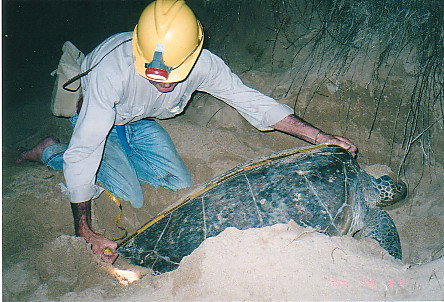 Footprints Adventures - Accommodation Resorts 2