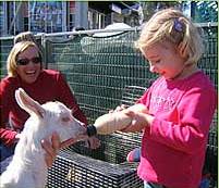 The Sun Herald Sydney Family Show - Accommodation Resorts 2