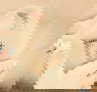 The Golden Door Spa  Health Club at Mirage Resort - Accommodation Resorts