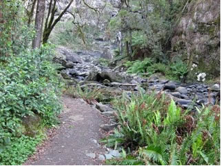 Stevensons Falls - Accommodation Resorts 1