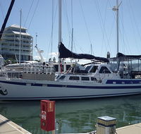 Coral Sea Dreaming Dive and Sail - Accommodation Resorts