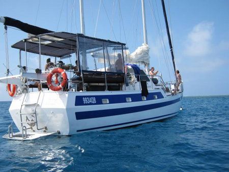 Coral Sea Dreaming Dive And Sail - Accommodation Resorts 3