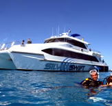 Silver Swift - Accommodation Resorts