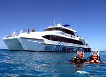 Silver Swift - Accommodation Resorts 0