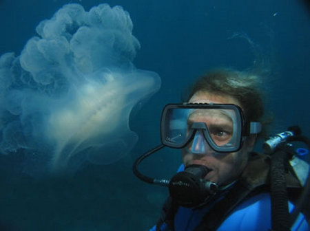 Silver Swift - Accommodation Resorts 2