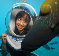Sunlover Reef Cruises - Accommodation Resorts