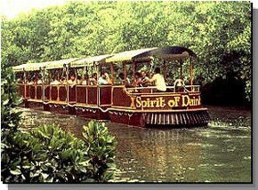 Daintree Rainforest River Trains - Accommodation Resorts 0