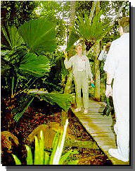 Daintree Rainforest River Trains - Accommodation Resorts 1