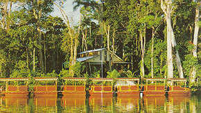 Daintree Rainforest River Trains - Accommodation Resorts 3