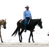Ride the Beach - Accommodation Resorts