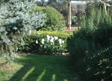 The Old Cheese Factory - Accommodation Resorts 2