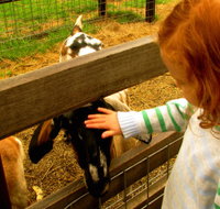 Collingwood Children's Farm - Accommodation Resorts