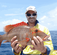 Carlo Fishing Charters - Accommodation Resorts