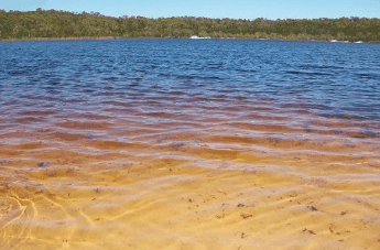 Beach Trekkers North Stradbroke Island - Accommodation Resorts 1