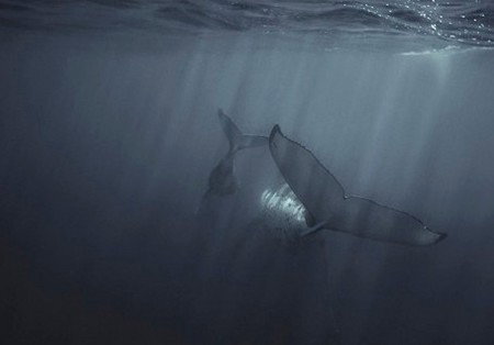 Eleven40 Gallery - Accommodation Resorts 4