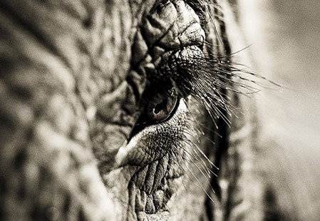 Eleven40 Gallery - Accommodation Resorts 5