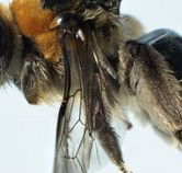 Western Australian Museum - Accommodation Resorts