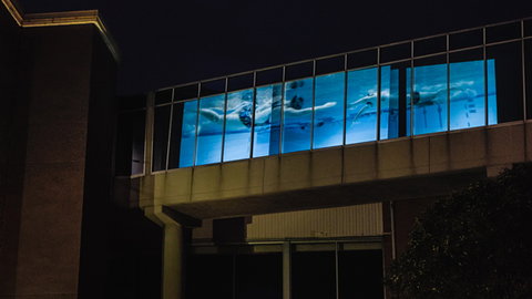 Kingston Arts - Accommodation Resorts 8