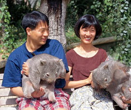 Birdland Animal Park - Accommodation Resorts 5